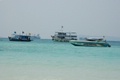 dsc_4781.jpg