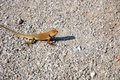 dsc_4925.jpg